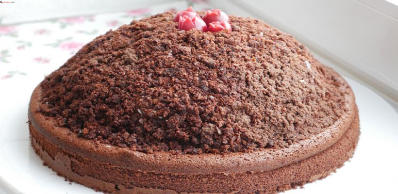 8 Kişilik Muhallebili Köstebek Pasta Tarifi ve Malzemeleri