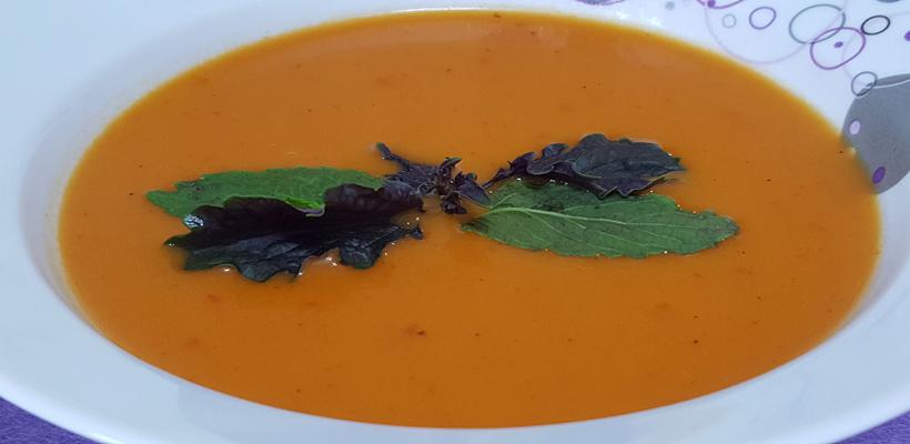 Sütlü Domates Çorbası Tarifi ve Malzemeleri